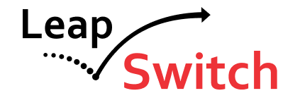 Leapswitch Networks